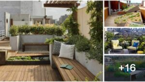 20 Brilliant Rooftop Landscaping Ideas